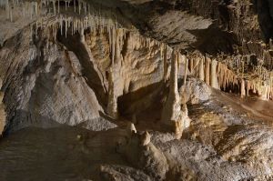 Jaskinia_Niedźwiedzia