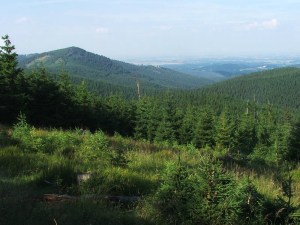 Widok na Kowadlo w Górach Złotych