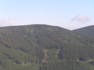 Widok na Mały Snieżnik