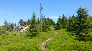 Trójmorski Wierch - dzień szósty