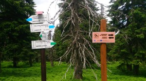 Trójmorski Wierch - dzień szósty