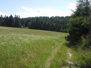 Beskid sądecki 2014