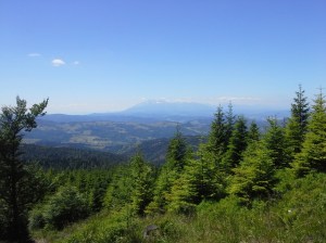Beskid sądecki 2014