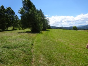 Z Wojkowej do Muszyny