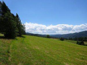 Z Wojkowej do Muszyny