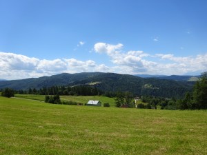 Z Wojkowej do Muszyny