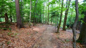 z Powroźnika do Krynicy